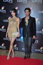 at Colors red carpet on 12th March 2016 (259)_56e5538570bcd.JPG