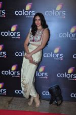 at Colors red carpet on 12th March 2016 (287)_56e553920c92f.JPG