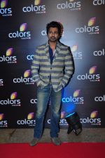 at Colors red carpet on 12th March 2016 (32)_56e55330bd3b3.JPG