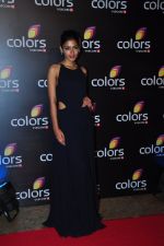 at Colors red carpet on 12th March 2016 (62)_56e5533b6ad69.JPG
