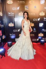 Nushrat Barucha at TOIFA Red Carpet 18 March - Dubai International Stadium, Dubai Sports City_56ed4403041c1.jpg