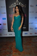 at Femina Miss India Contest on 22nd March 2016 (26)_56f248d87d483.JPG