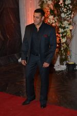 Salman Khan at Bipasha Basu and Karan Singh Grover_s Wedding Reception on 30th April 2016 (358)_57282e5eb0aea.JPG