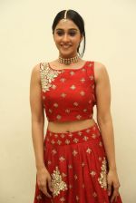 Regina Cassandra at a music launch on 8th May 2016 (269)_57302f2a8a302.JPG