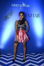 Anusha Dandekar at Asilo for Grey Goose Couture Cabanna on 28th May 2016 (64)_574a952d8d20e.JPG