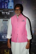 Amitabh Bachchan at the promotion of Te3n on 3rd June 2016 (69)_5752e52eca070.JPG