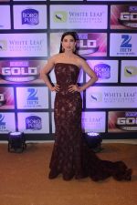 Gauhar Khan at ZEE Gold Awards on 9th June 2016 (1)_575a88c7cf66f.jpg