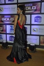 Hina Khan at ZEE Gold Awards on 9th June 2016 (33)_575a87f137f9d.JPG