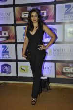 at ZEE Gold Awards on 9th June 2016 (102)_575a87f565957.JPG