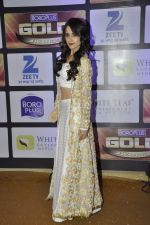at ZEE Gold Awards on 9th June 2016 (104)_575a87f69b2ee.JPG
