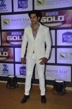 at ZEE Gold Awards on 9th June 2016 (11)_575a87d1e72ac.JPG