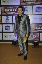 at ZEE Gold Awards on 9th June 2016 (14)_575a87d3c3787.JPG