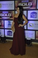at ZEE Gold Awards on 9th June 2016 (22)_575a87d4e3983.JPG