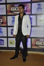 at ZEE Gold Awards on 9th June 2016 (37)_575a87d953524.JPG