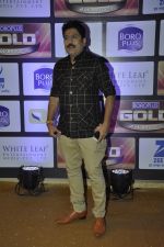 at ZEE Gold Awards on 9th June 2016 (61)_575a87e7c9633.JPG