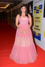 at CINEMAA AWARDS red carpet on 13th June 2016 (33)_575f80f573ae5.jpg