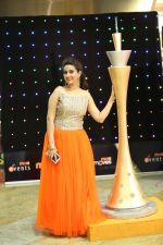 at CINEMAA AWARDS red carpet on 13th June 2016 (60)_575f81351c17a.jpg