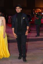 at CINEMAA AWARDS red carpet on 13th June 2016 (63)_575f8142ea26c.jpg