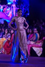 An Ode To Weaves and Weavers Fashion show at HICC Novotel, Hyderabad on June 21, 2016 (138)_576be55132fe2.JPG