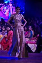 An Ode To Weaves and Weavers Fashion show at HICC Novotel, Hyderabad on June 21, 2016 (139)_576be55610016.JPG