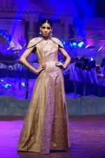An Ode To Weaves and Weavers Fashion show at HICC Novotel, Hyderabad on June 21, 2016 (147)_576be585897da.JPG