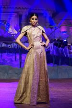 An Ode To Weaves and Weavers Fashion show at HICC Novotel, Hyderabad on June 21, 2016 (149)_576be590d9a82.JPG