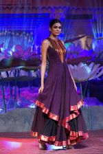 An Ode To Weaves and Weavers Fashion show at HICC Novotel, Hyderabad on June 21, 2016 (258)_576be75be2803.JPG