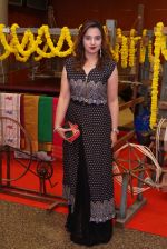 An Ode To Weaves and Weavers Fashion show at HICC Novotel, Hyderabad on June 21, 2016 (400)_576be909b61f4.JPG