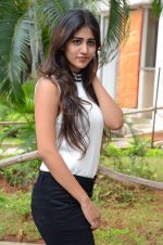 Chandani Chowdary Photoshoot (118)_576bb7779a60d.jpg