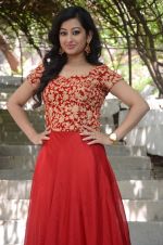 Tejaswini Prakash Photoshoot (227)_576befe253095.jpg