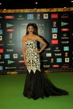 Daisy Shah at NEXA IIFA Awards 2016 (6)_576fc4da45007.JPG
