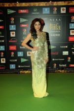 Kanika Kapoor at NEXA IIFA Awards 2016 (4)_576fc5468a2f5.JPG