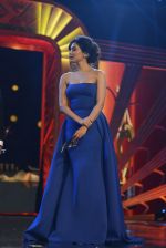  at SIIMA 2016 DAY 1 red carpet on 30th June 2016 (115)_5776152e728c9.JPG