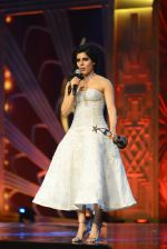  at SIIMA 2016 DAY 1 red carpet on 30th June 2016 (162)_5776154a6b123.JPG