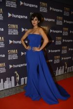 Sonal Chauhan at SIIMA 2016 DAY 1 red carpet on 30th June 2016 (221)_577616d1dd88c.JPG
