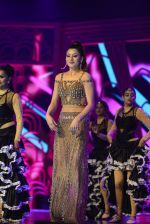Urvashi Rautela at SIIMA 2016 DAY 1 red carpet on 30th June 2016 (154)_577615d0a7e82.JPG