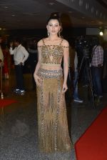 Urvashi Rautela at SIIMA 2016 DAY 1 red carpet on 30th June 2016 (81)_577616e5f01a8.JPG