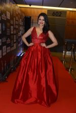 at SIIMA 2016 DAY 1 red carpet on 30th June 2016 (130)_577616ba30cd6.JPG