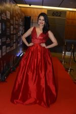 at SIIMA 2016 DAY 1 red carpet on 30th June 2016 (131)_577616bad35f2.JPG