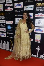 at SIIMA 2016 DAY 1 red carpet on 30th June 2016 (135)_577616be857d1.JPG