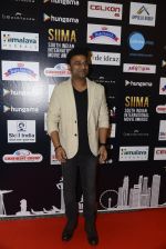 at SIIMA 2016 DAY 1 red carpet on 30th June 2016 (175)_577616cd70b09.JPG