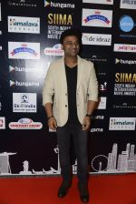 at SIIMA 2016 DAY 1 red carpet on 30th June 2016 (176)_577616ce1ed79.JPG