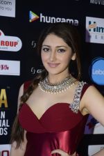 at SIIMA 2016 DAY 1 red carpet on 30th June 2016 (18)_57761661e985d.JPG