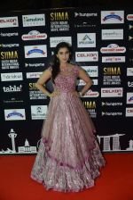 at SIIMA 2016 DAY 1 red carpet on 30th June 2016 (22)_577616659d0f7.JPG