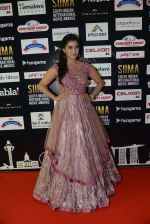 at SIIMA 2016 DAY 1 red carpet on 30th June 2016 (24)_577616675d7a5.JPG