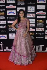 at SIIMA 2016 DAY 1 red carpet on 30th June 2016 (25)_577616683844d.JPG