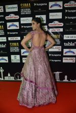 at SIIMA 2016 DAY 1 red carpet on 30th June 2016 (30)_5776166be0f9a.JPG