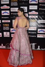 at SIIMA 2016 DAY 1 red carpet on 30th June 2016 (31)_5776166cb6218.JPG