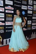 at SIIMA 2016 DAY 1 red carpet on 30th June 2016 (43)_5776167670354.JPG