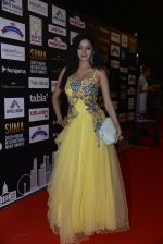 at SIIMA 2016 DAY 1 red carpet on 30th June 2016 (82)_57761691d8d34.JPG